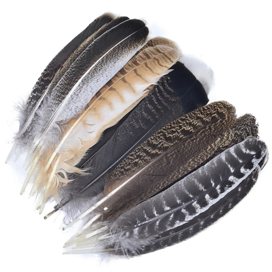 10Pcs/Lot Real Natural Eagle Feathers for Jewelry Making Turkey Pheasant Crafts Carnival Accessories Holiday Manmade Decorations