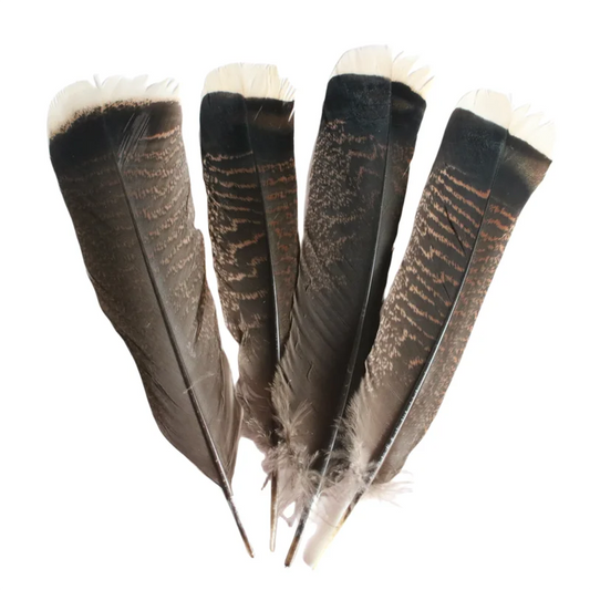 10Pcs Natural Turkey Feathers for Crafts Plume 10-12 inches/25-30cm Headdress Accessories Carnival DIY Handicraft Decor